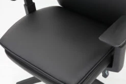 Executive Ergonomic Task -Office Furniture Sales Shop 037 BK 2 1 23740.1653324601