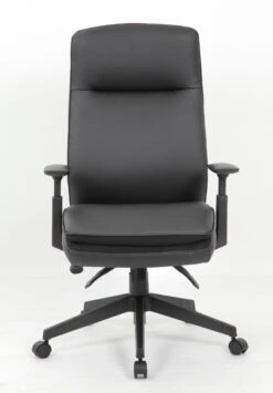 Executive Ergonomic Task -Office Furniture Sales Shop 037 BK 3 1 83697.1653324596
