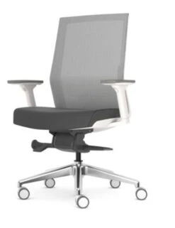 AMQ Zilo Grey Mesh White Frame Ergonomic Task Chair 16 AMQ Zilo Grey Mesh White Frame Ergonomic Task Chair -Office Furniture Sales Shop AMQ ZILO Z 001 CC.5S25 2R 46520.1688759522
