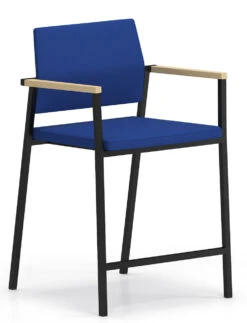 Avon Fully Upholstered Guest Hip Chair -Office Furniture Sales Shop Avon AV1491G6 v1 COEL NAT BLK HipChair HI 89015.1579619646