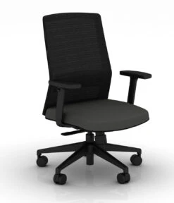 Bodi Synchro-Tilt Ergonomic Task Chair -Office Furniture Sales Shop BODI Black graphite 1 89563.1688759792