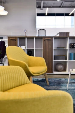 Jest Lounge Chair 19 Jest Lounge Chair -Office Furniture Sales Shop Friant Jest Guest Side 04325.1687271889