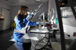 HAG Capisco Puls Partially Upholstered Saddle Stool / 5 Day Express Ship -Office Furniture Sales Shop PulsLAB1 27321.1666899259