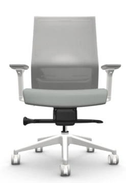Zilo Grey Mesh White Frame Ergonomic Task Chair -Office Furniture Sales Shop ZiloWHTBuzzAlpine2 08994.1645540373