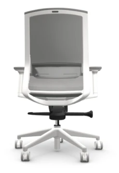Zilo Grey Mesh White Frame Ergonomic Task Chair -Office Furniture Sales Shop ZiloWhtBuzzAlpine3 46137.1645540313