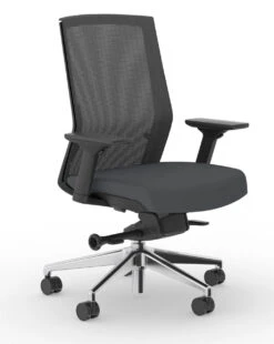 Zilo Ergonomic Task Chair All Black Frame -Office Furniture Sales Shop Zilo 45 B Graphite 40596.1688758402
