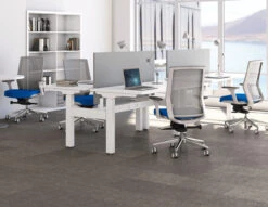 Zilo Grey Mesh White Frame Ergonomic Task Chair -Office Furniture Sales Shop Zilo Room 1 10660.1645540696