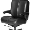 Big Sur Big & Tall 24/7 Executive Chair W/ Seat Slider 2 Big Sur Big & Tall 24/7 Executive Chair W/ Seat Slider -Office Furniture Sales Shop big sur 18697.500.659 15452.1436553682