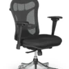 Ergo Ex Executive Chair -Office Furniture Sales Shop ergoex 44529.1646324230