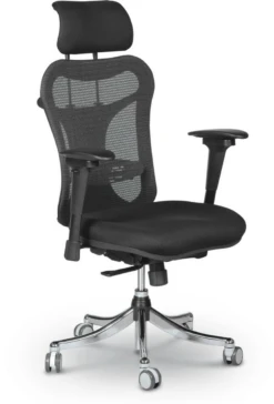 Ergo Ex Executive Chair