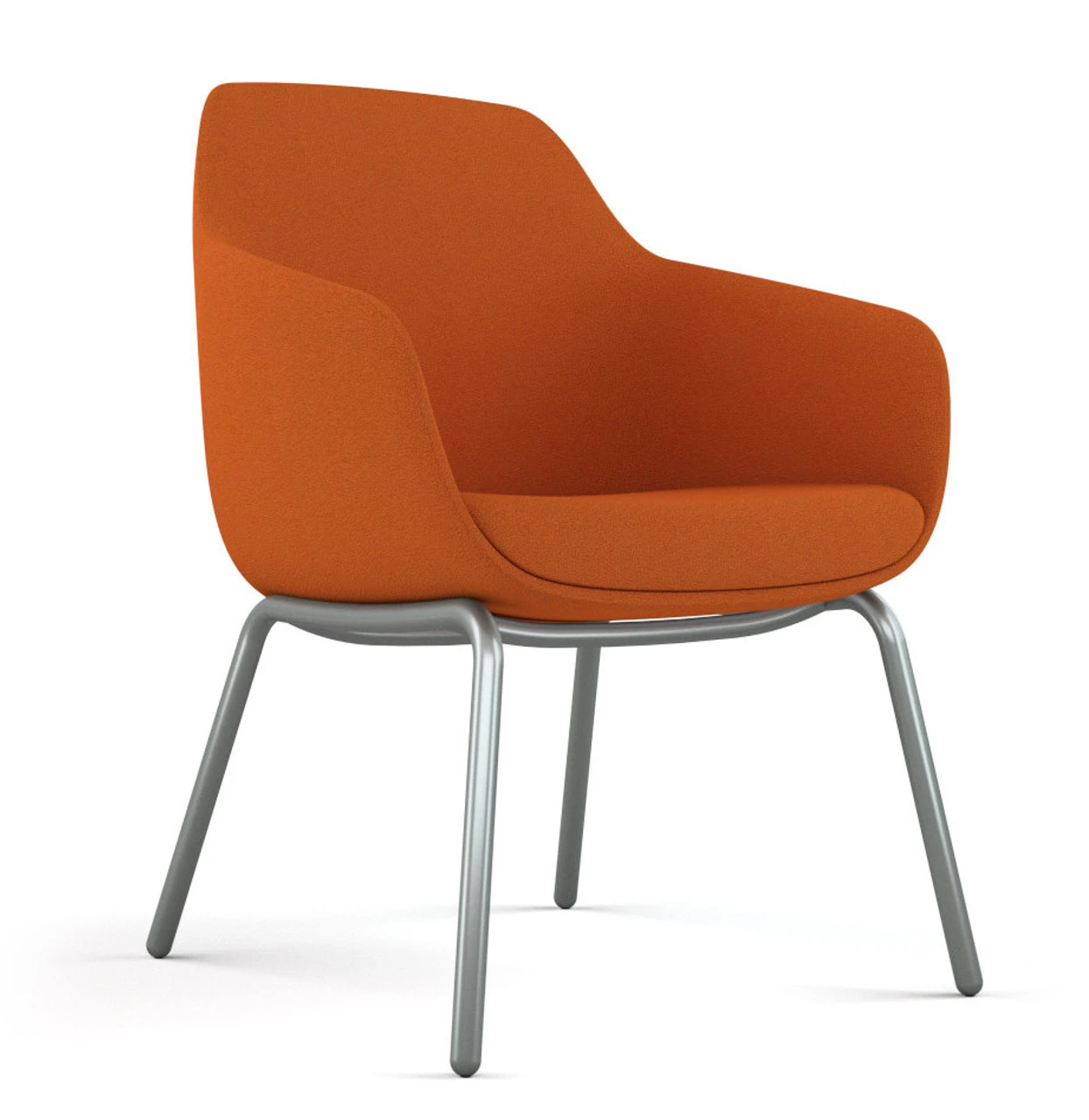 Lily 4 Legged Guest 3 Lily 4 Legged Guest