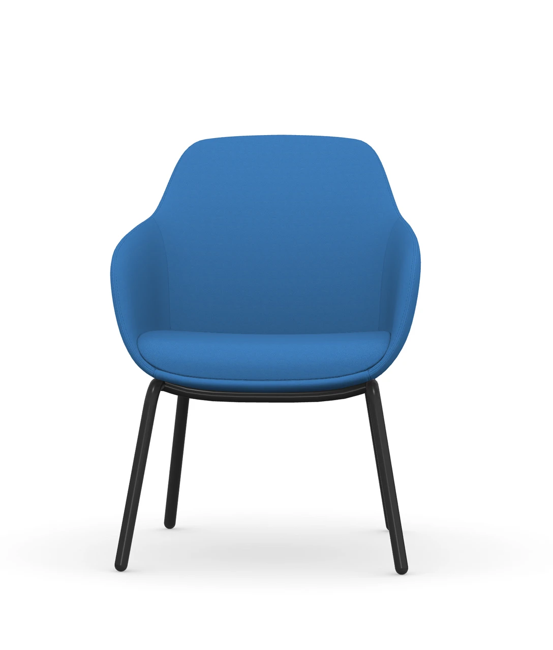 Lily 4 Legged Guest 6 Lily 4 Legged Guest - Image 4