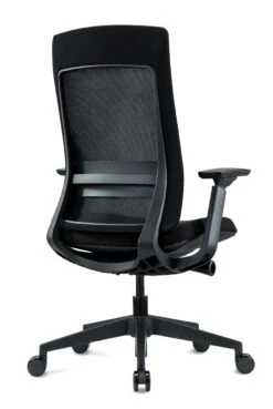 Elevate Executive Task Chair -Office Furniture Sales Shop ocusa.evl 001b blk angle back lo 2 69813.1580922449