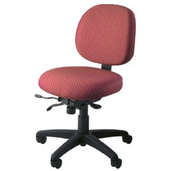 PT62 Ergonomic Petite Tasker -Office Furniture Sales Shop pt62 3 73784.1461081401