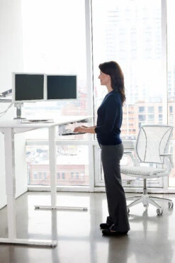 Humanscale Diffrient World Chair -Office Furniture Sales Shop world white i1 3000 01603.1438609240