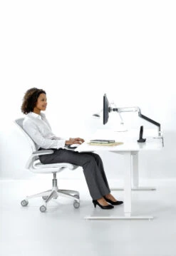 Humanscale Diffrient World Chair -Office Furniture Sales Shop world white i5 3000 25121.1438609263